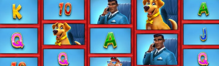 blaze jogo entrar