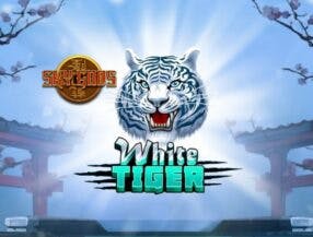 slot demo double fortune